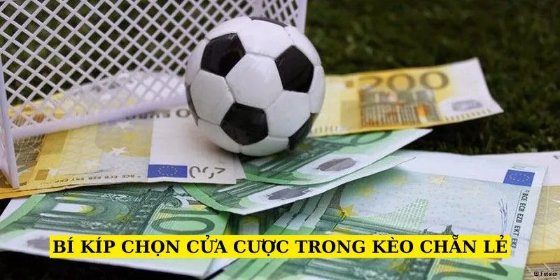 bi-kip-chon-cua-trong-keo-chan-le
