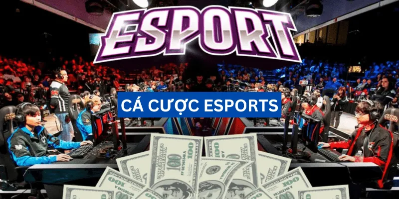 ca-cuoc-esports