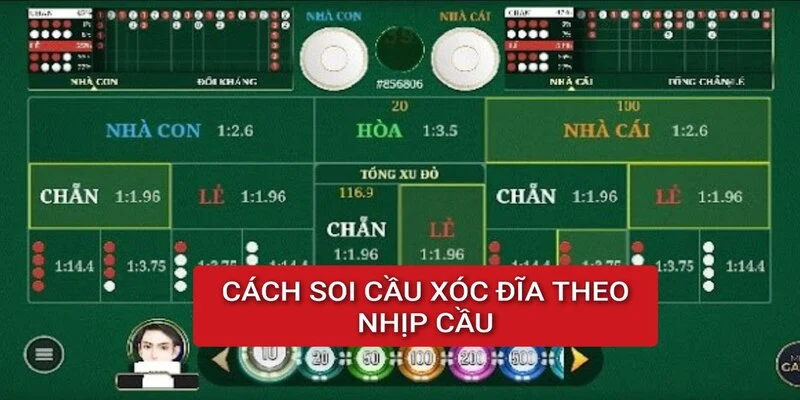 cach-soi-cau-xoc-dia-tuan-theo-nhip