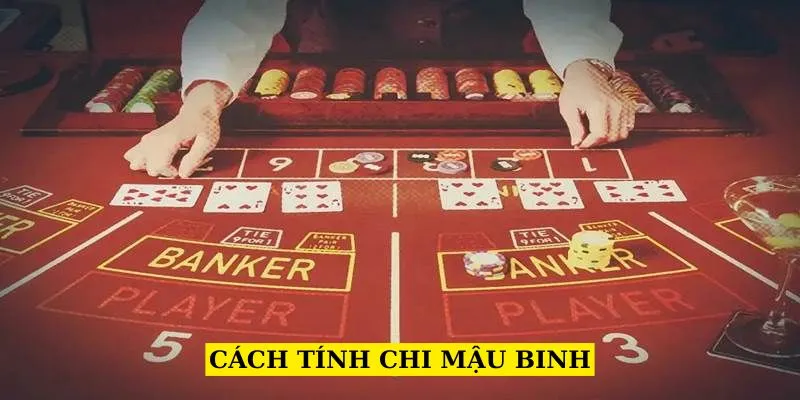 cach-tinh-chi-mau-binh