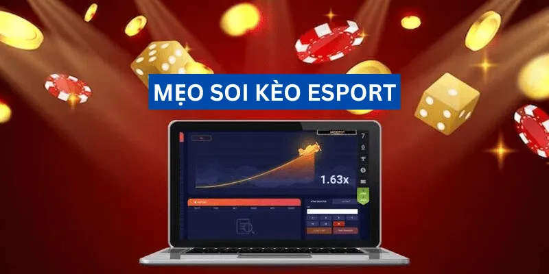 meo-soi-keo-esport