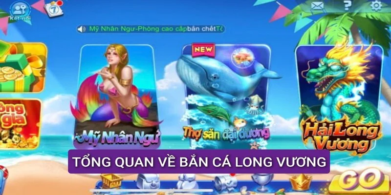 tong-quan-ve-ban-ca-long-vuong